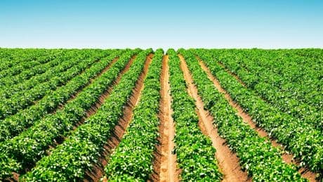 Fao: danni per 85 mld di $ all’agricoltura ucraina