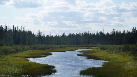 Critics slam Ontario for proposal to create zones where projects are exempt from laws