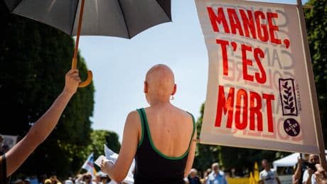 Le Parlement adopte définitivement la loi Duplomb, malgré la mobilisation de plusieurs collectifs
