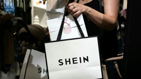 « Une question de budget » : à Dijon, une boutique Shein attire la foule et les critiques