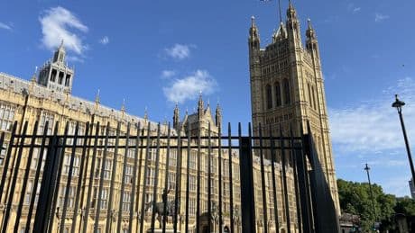 Police guarding Parliament think new security fence is ‘dangerous’, says author