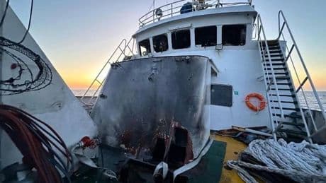 'It'll take more than drones to stop us': Gaza flotilla member speaks out