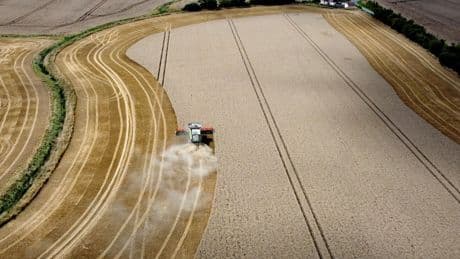 Farmers’ harvest in limbo after UK endures driest spring in nearly 70 years