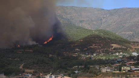 Hatay'da panik anları! Evlerine sıçrayan yangını çığlık çığlığa izlediler
