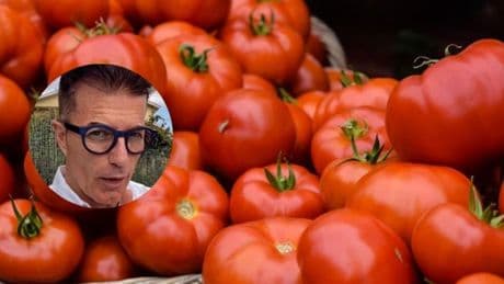 Manuel Viso, doctor: “El tomate contiene licopeno, un potentísimo antioxidante que protege nuestro corazón, nuestra piel y, sobre todo, previene de varios tipos de cáncer”