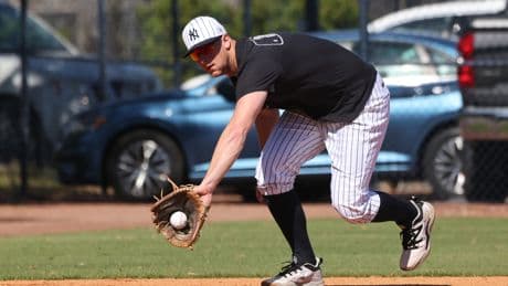 DJ LeMahieu’s return to Yankees delayed by inclement weather at rehab assignment