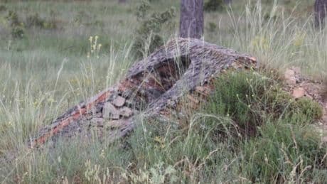 La huella del olvido en el aeródromo de Navaseca