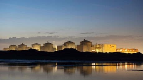 Filter verstopft - Quallen stoppen Frankreichs größtes Atomkraftwerk