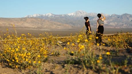 Trump wants states to take over control of National Park system as he proposed $1 billion cut to its budget