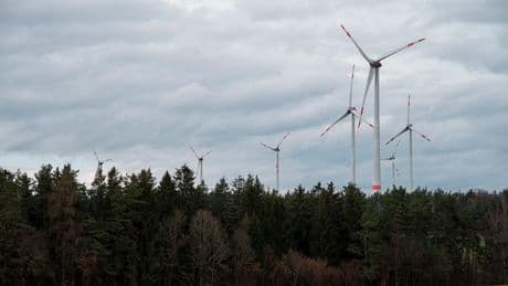 Umweltschutz: Windkraft im Wald – Verbände warnen vor Zerstörung