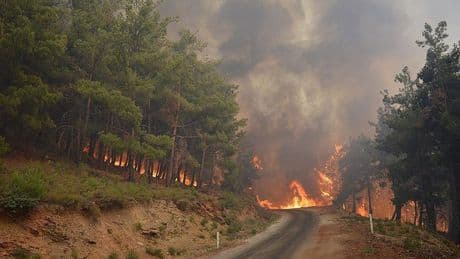 İzmir'de kaçak kazı orman yangınına sebep oldu: 5 tutuklama