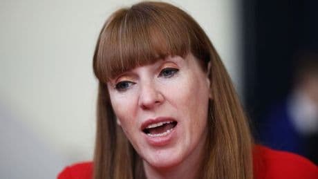 Angela Rayner warned huge plan will cost taxpayers billions