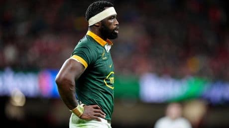 Rugby : Kolisi de retour avec les Springboks pour affronter la Géorgie