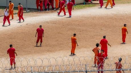 In Texas Borderland, Trump’s Immigration Push Suffers Its Worst Legal Defeat Yet