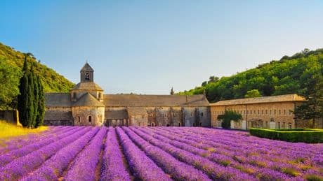 5 pépites à découvrir dans le Luberon cet été