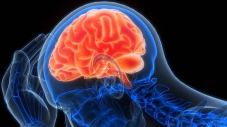 3 einfache Tipps fürs Gehirn-Boosting – empfohlen von Harvard-Wissenschaftler