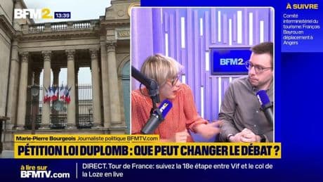 Loi Duplomb: une censure par le Conseil consitutionnel est-elle possible ?
