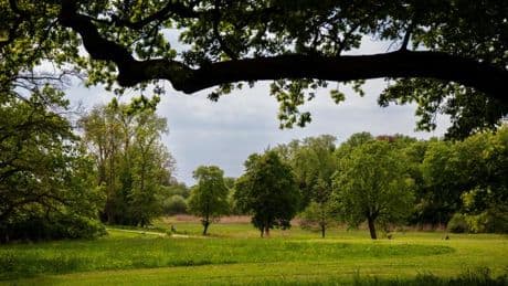 Von der Zierfarm zum Parkidyll