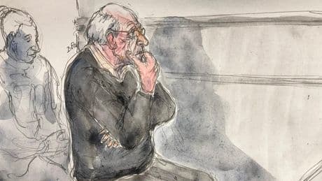 Joël Le Scouarnec condamné à 20 ans de réclusion criminelle : le récit d’un procès hors norme