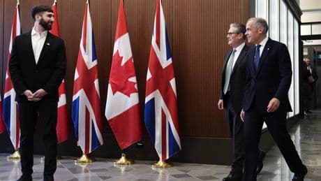 Ottawa taps Canadian tech firm for ideas on using AI in public service