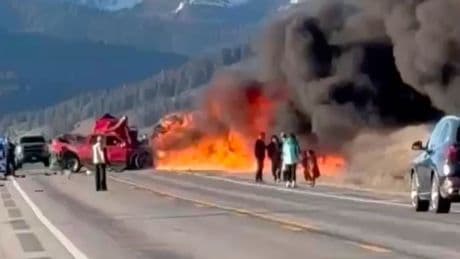 Yellowstone, incidente tra pick-up e un furgone passeggeri con diversi stranieri: morte 7 persone (anche un'italiana)