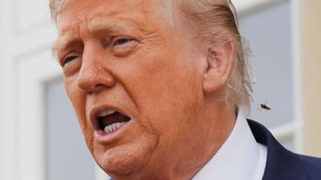 Ultimatum: Trump: Putin kriegt "zehn bis zwölf Tage" zur Beendigung des Ukraine-Kriegs