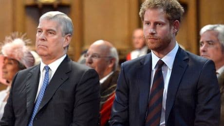 Prince Harry reacts to claim he 'punched Prince Andrew in face' and 'called him coward'