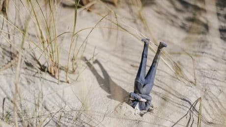 Neu als Führungskraft: „In einer perfekten Welt würden Angestellte Probleme ansprechen. Aber das tun sie nicht“