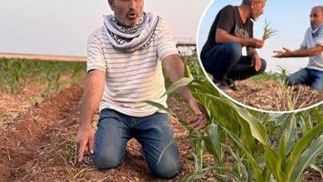 Aynı tarla, sıra dışı olay! Ektiği tohumlar filizlendi, şaşkına döndü: Ruh sağlığım bozuldu