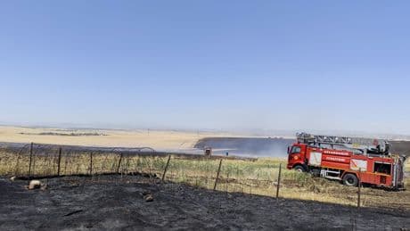 Diyarbakır'da yangın! 1000 dekar alan zarar gördü
