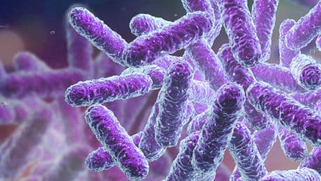 ABD’de salmonella alarmı