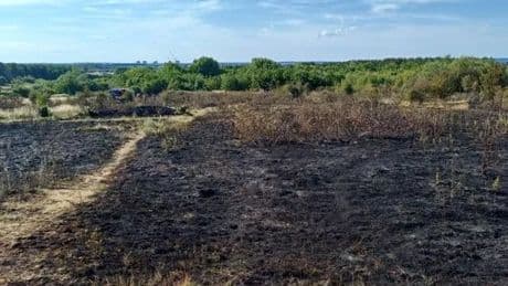 Rainham fire: Dozens of firefighters battle blaze as 'grey smoke fills the air'