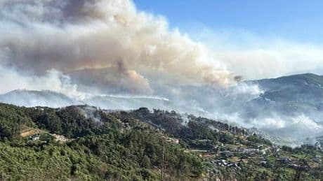 Portugal: Tausende Einsatzkräfte kämpfen gegen Waldbrände