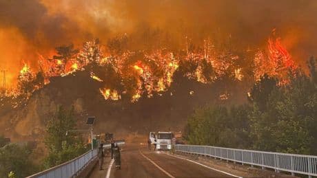 Waldbrände in der Türkei bedrohen Wohngegenden