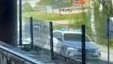 Panic in Finland as armed police rush to school after 'students stabbed'