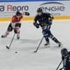 Hockey sur glace. Formation à développer, identité à ancrer : les Ducs d’Angers à un tournant