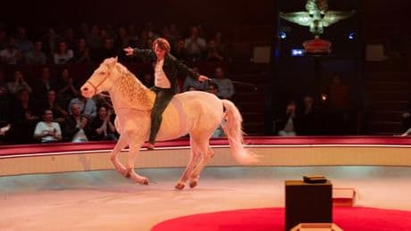 Avec « Sexe, grog et rocking-chair », Alex Lutz ouvre sa malle à souvenirs