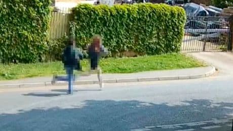 Gefesselt, aufgeschlitzt, verbrannt - Katzen-Killer (17) muss in den Knast