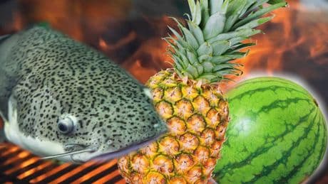 Grill-Trends 2025 - Diese Favoriten müssen Sie kennen
