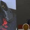 Sandales pour Adidas : le créateur américain d'origine mexicaine Willy Chavarria reconnaît une appropriation culturelle