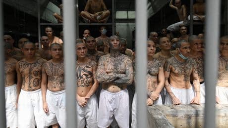 ICE swoops in on MS-13 kingpin hiding in America's heartland after investigation