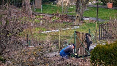 Bis zu 4.000 Euro im Jahr: So nutzen Sie Gartenarbeit, um Steuern zu sparen