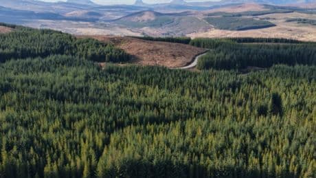 Scottish forest amidst ‘breathtaking scenery’ goes on market