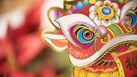 Dragón invita a oso y elefante
