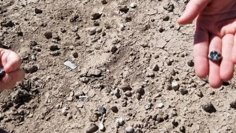 La possibilité d’une nouvelle espèce d’homininé en Afrique de l’Est, il y a 2,5 millions d’années