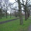 Woman ‘raped’ at popular London park in early hours as man, 33, arrested