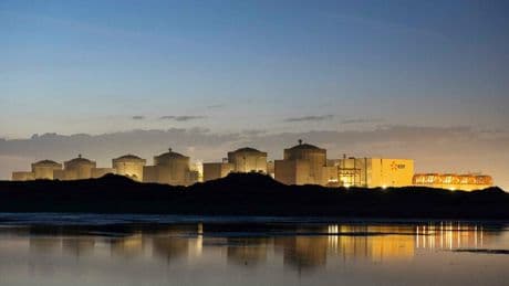 Energie: Frankreich muss wegen Quallenplage vier Atomreaktoren abschalten