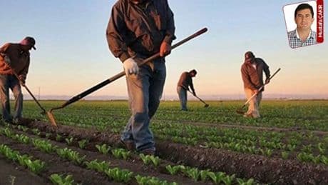 Çiftçinin mirasçıları bankadan parayı alabilmek için ceza ödemek zorunda kalıyor: Mağdur eden destek!
