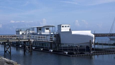 Ostsee-Ausflug ab Berlin: In Warnemünde kann man mit Robben schwimmen