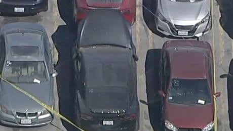 Dismembered body found in D4vd’s abandoned Tesla is ID’d as a woman with distinct outfit and tattoo